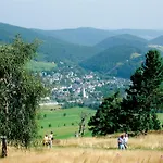 Apartmán B Am Kurpark *
