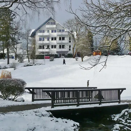 Daire B Am Kurpark Willingen (Upland)