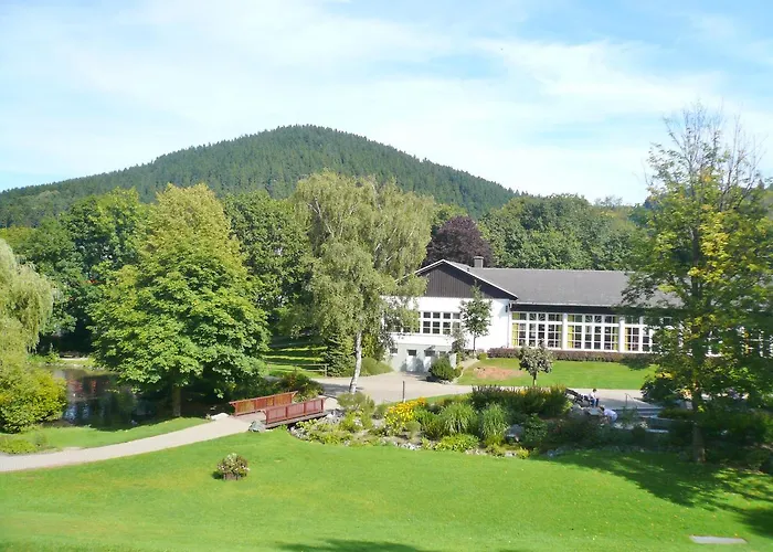 B Am Kurpark Apartment Willingen (Upland)